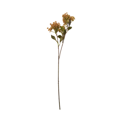 Natural Butterfly Bush