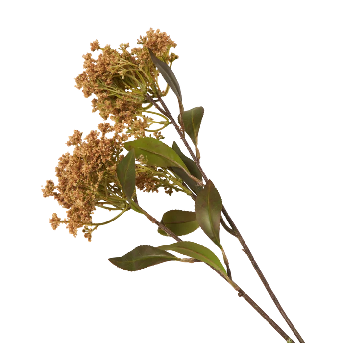 Natural Butterfly Bush