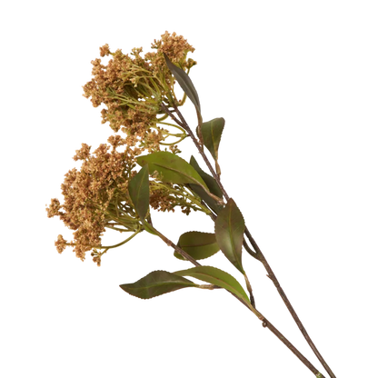Natural Butterfly Bush