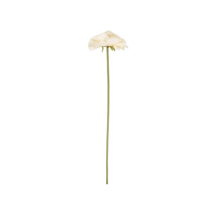 Peony Garden Stem