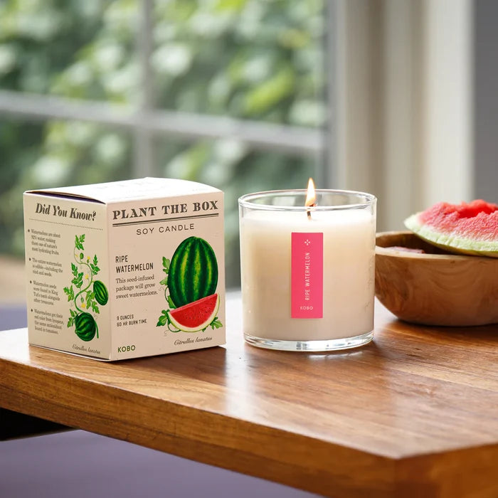 Plant the Box Ripe Watermelon 9oz Candle