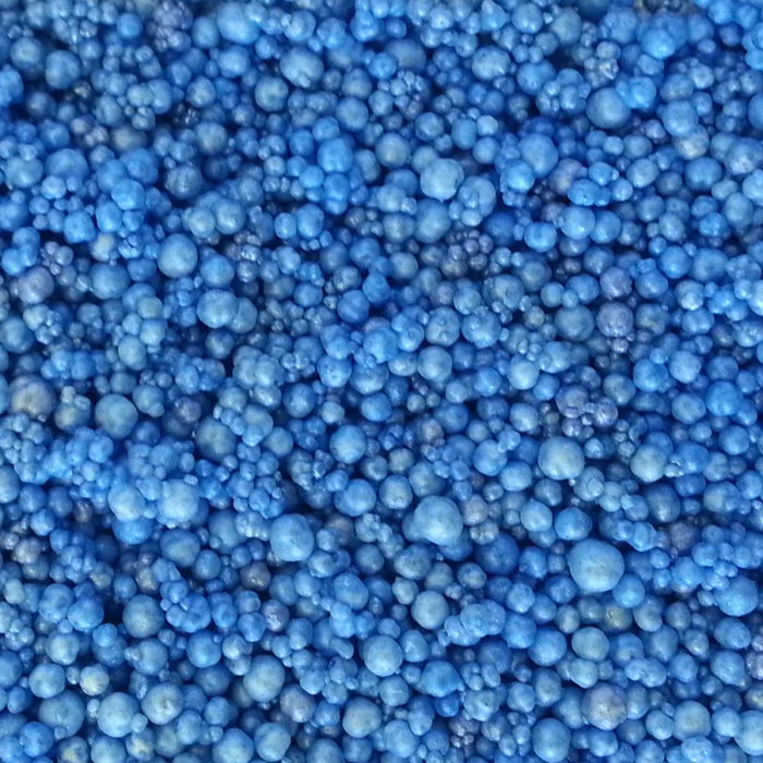Blue Suede Shoes