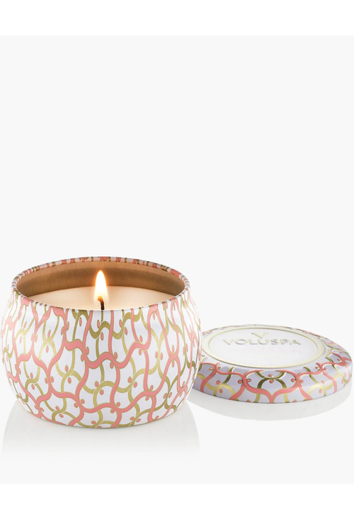 Saijo Persimmon Mini Tin Candle