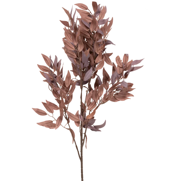 Salix Stem