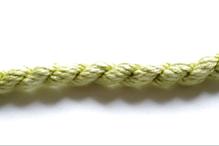 1002 Wisp of Willow