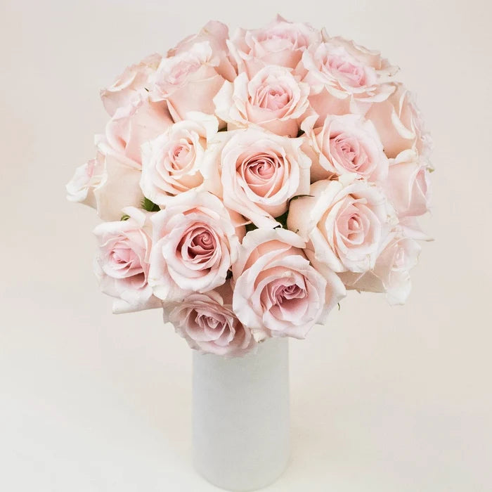 Suspiro Nude Wholesale Roses In a vase