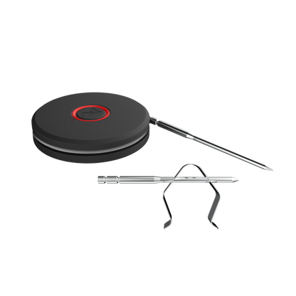 Smart BBQ Probe and Grate Sensor