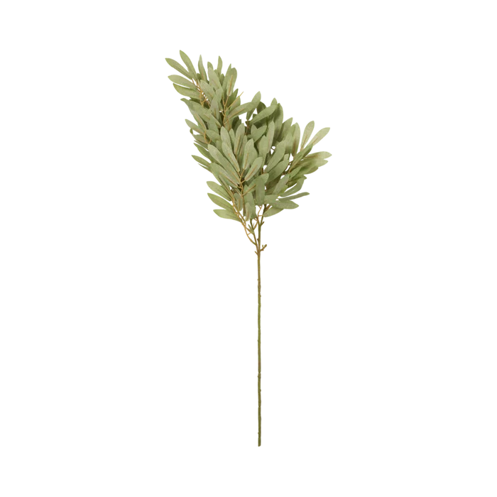 Soft Willow Stem
