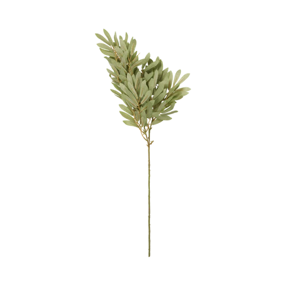 Soft Willow Stem