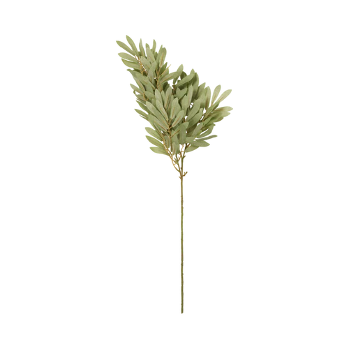 Soft Willow Stem