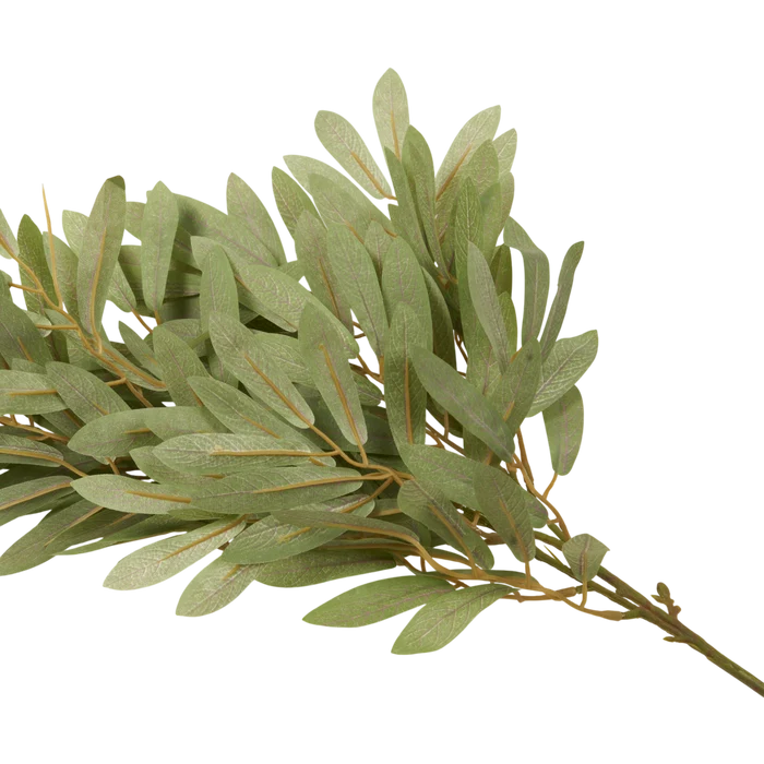 Soft Willow Stem