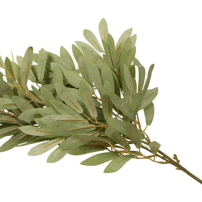 Soft Willow Stem