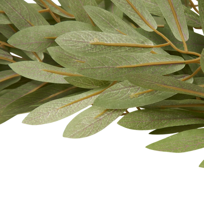 Soft Willow Stem