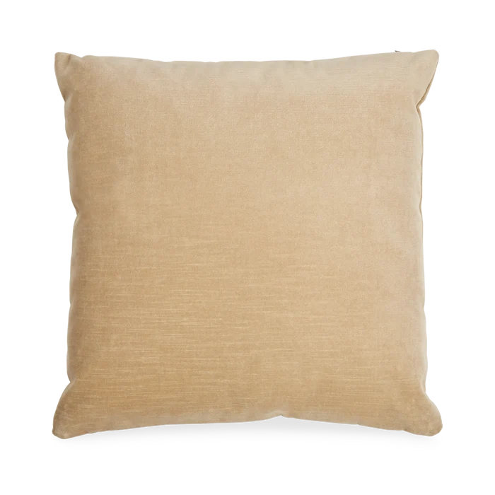 Solid Velvet Pillow
