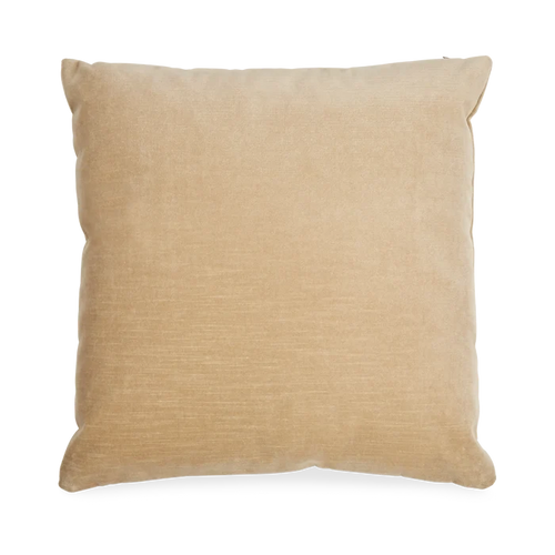 Solid Velvet Pillow