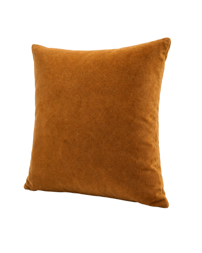 Solid Velvet Pillow