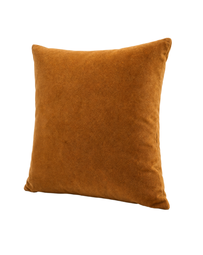 Solid Velvet Pillow