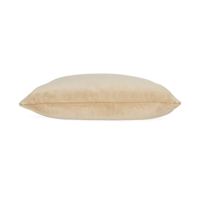 Solid Velvet Pillow