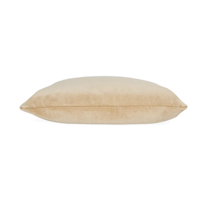 Solid Velvet Pillow