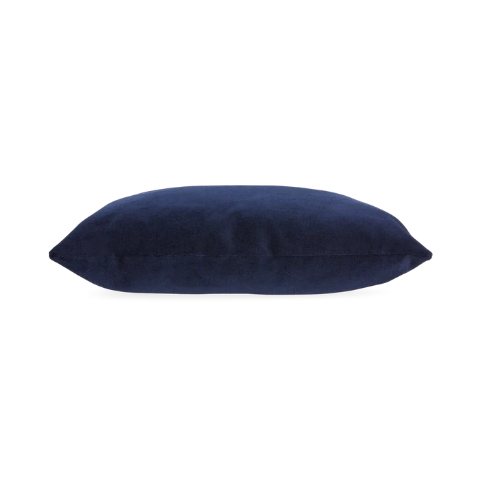 Solid Velvet Pillow