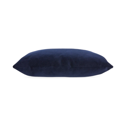 Solid Velvet Pillow