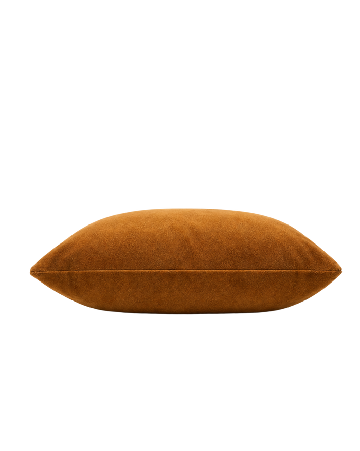 Solid Velvet Pillow