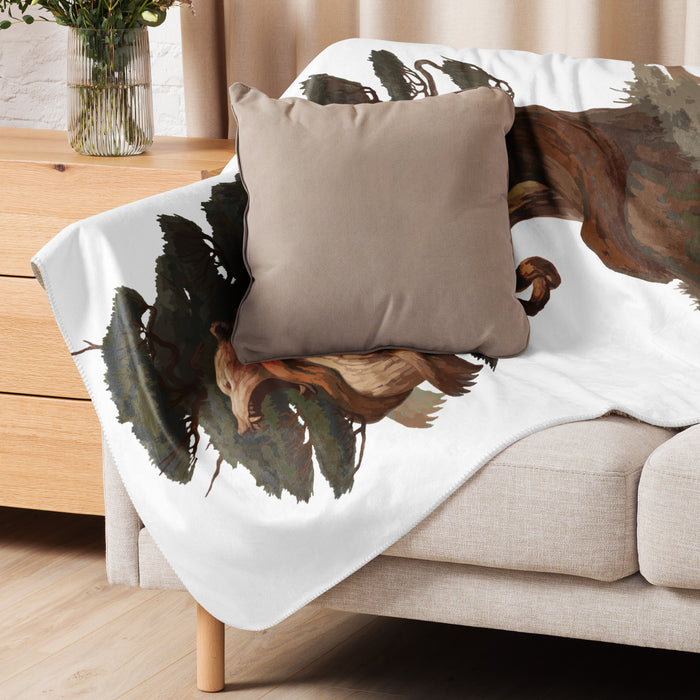 Strength Sherpa blanket