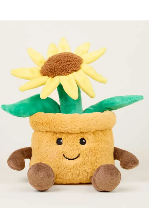 Sunflower, Warmie
