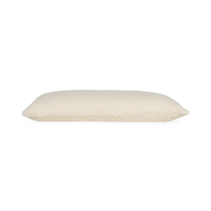 Teddy Pillow