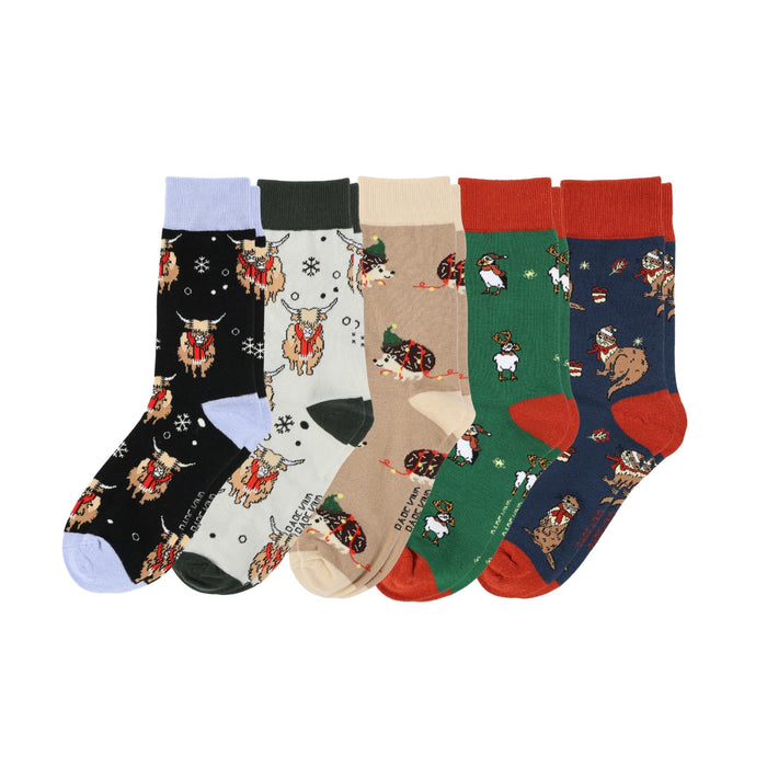 The Christmas Rainbow Bundle of 5