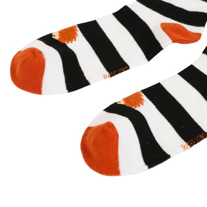 Pair of Hedgehog stripes socks on a white background