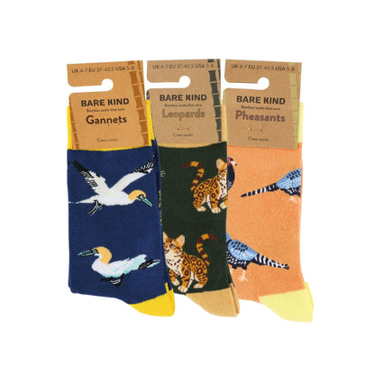 Three pairs of Bare Kind crew socks displayed side by side on their cardboard hangers.