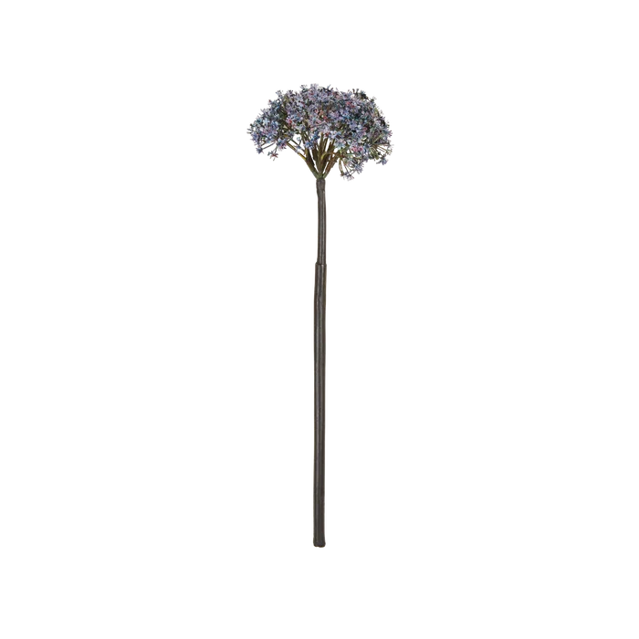 Trachelium Stem