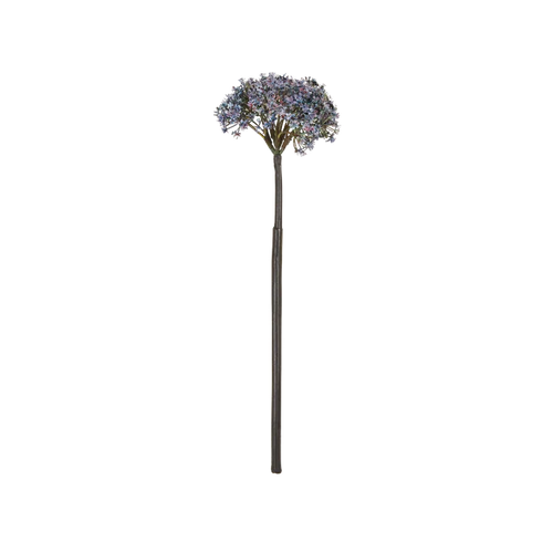 Trachelium Stem