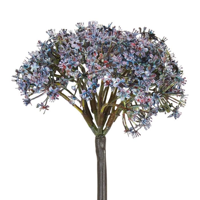 Trachelium Stem