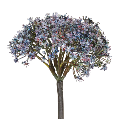 Trachelium Stem