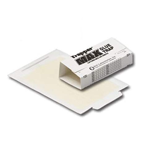 Trapper Max Glue Trap for Mice and Insects - 12 boards - Seed World