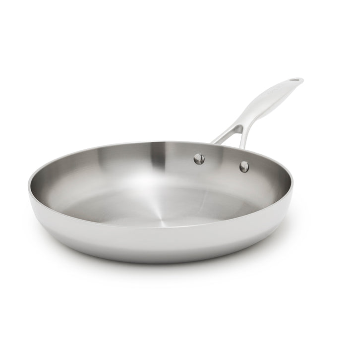 Stainless steel 10-inch frypan with a long handle, uncoated silver finish, single piece.