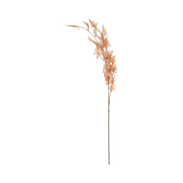 Woodland Fern