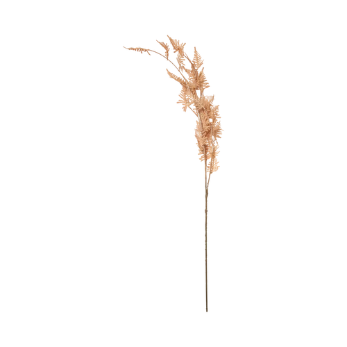 Woodland Fern