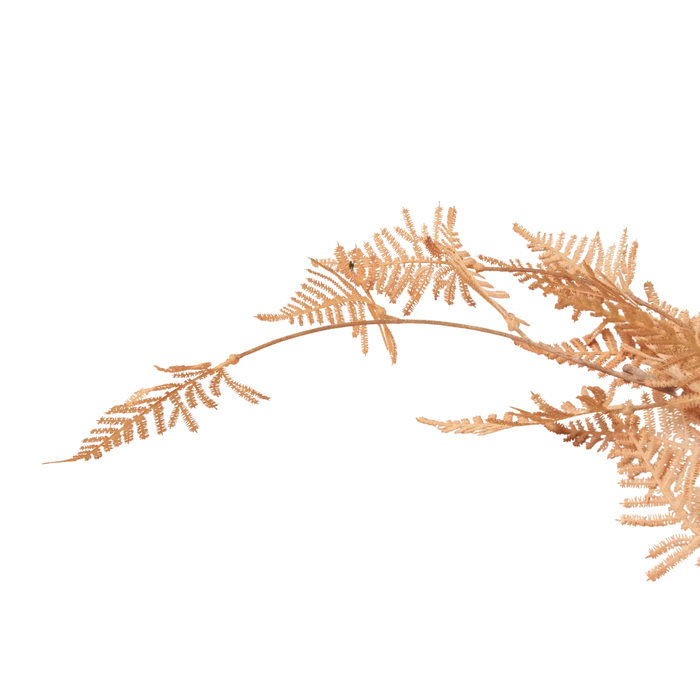 Woodland Fern