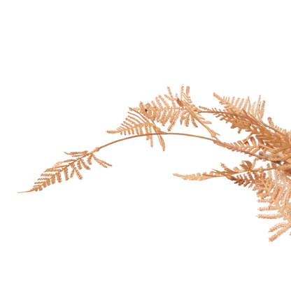 Woodland Fern